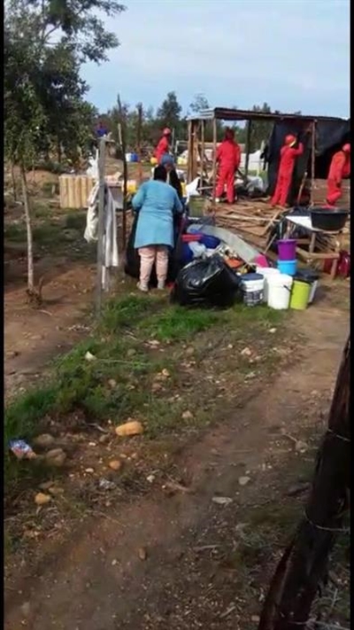 Red Ants pounce on squatters