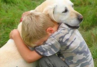 Animal companions can save your life