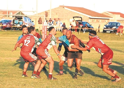 Harlequins weer op die wenpad