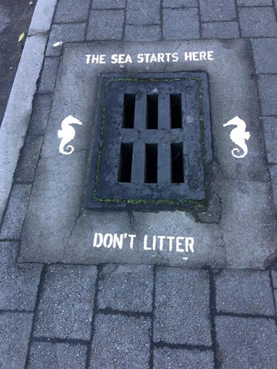 Collective effort for healthy estuary