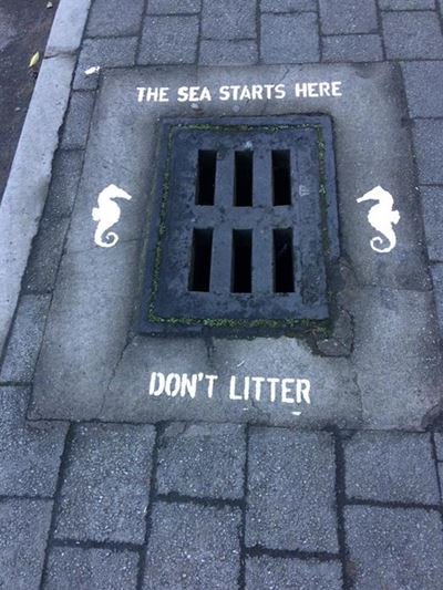 Collective effort for healthy estuary