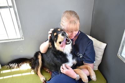 Dog rescued after adopter gave her away