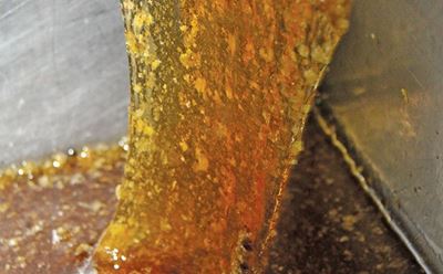 SABIO relieved at Zambia honey import ban