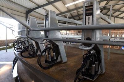 DA welcomes progress in probe into the Vrede dairy project