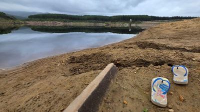 Garden Route Dam level at 43.75%