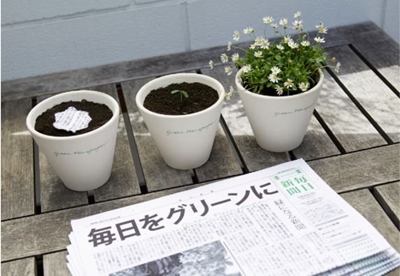 The newspaper that becomes a plant (again)