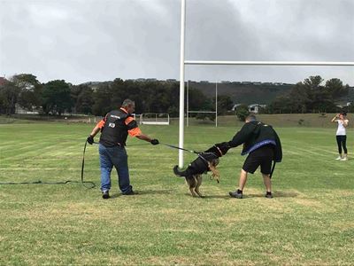 Canines claw their way into kids' hearts