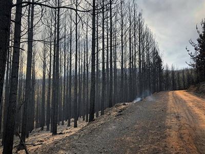 Latest update: Garden Route fires