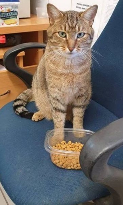 Speurdiens neem finaal afskeid van Kolonel Tiger