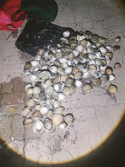 Sukses met volmaan: Perlemoenstropers vas 
