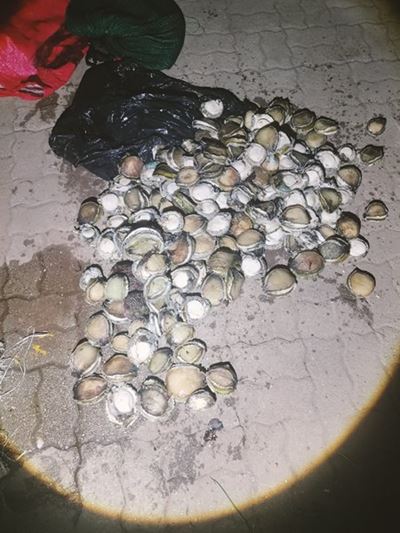 Sukses met volmaan: Perlemoenstropers vas 