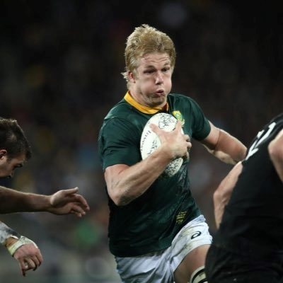 Pieter-Steph back but Stormers wait on Jean-Luc