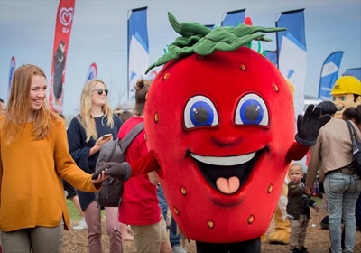 A festival for all visitors