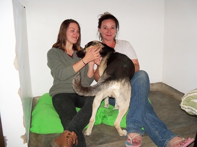 A festive time at SPCA sleepathon