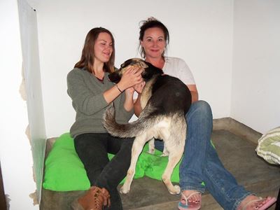A festive time at SPCA sleepathon