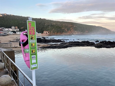 Stolen pink rescue buoys concern for NSRI