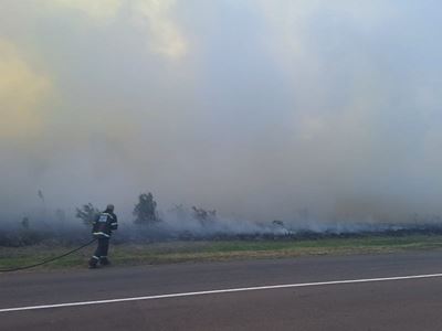 Dana Bay fire – what you need to know