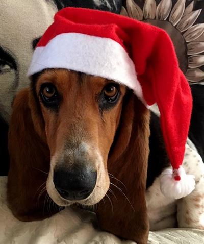 Weird wonderful gifts to give