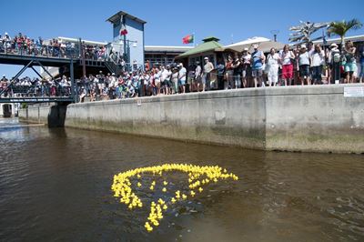 Rotary Splash fun you can't miss