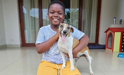 Jack Russell of a Mbombela family deals with venomous snake