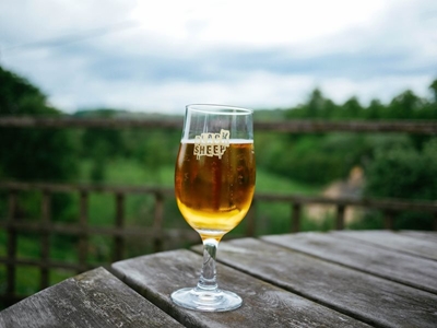 Moderate alcohol consumption may help type 2 diabetes patients