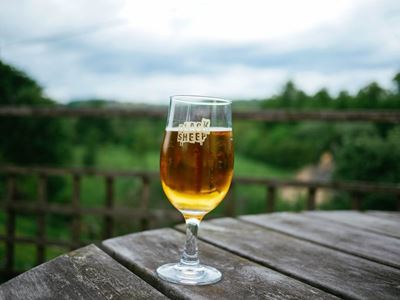 Moderate alcohol consumption may help type 2 diabetes patients