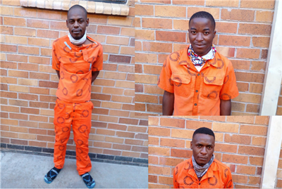 Limpopo’s ‘Boko Haram’ criminals sentenced to combined period of 384 years in jail