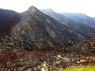 Latest fire update