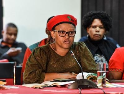 Mandisa Mashego says she has joined ‘civic part’ of Mashaba’s party