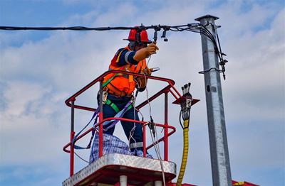 Tree on power line causes Plett outage