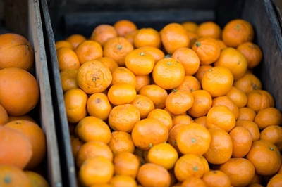 Citrus exports to US set for record, fueled by Covid-19