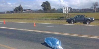 Pedestrian killed on freeway