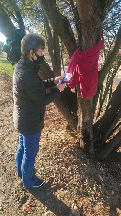 Bome in Voortrekkerweg dra baadjies vir liefdadigheid