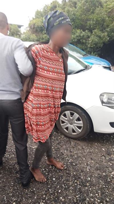 The great plant caper: Woman caught for theft in Wilderness