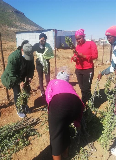 Vrygronde residents celebrate Earth Day