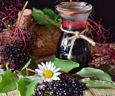Elderberry: The old-school remedy to boost metabolism and gut health