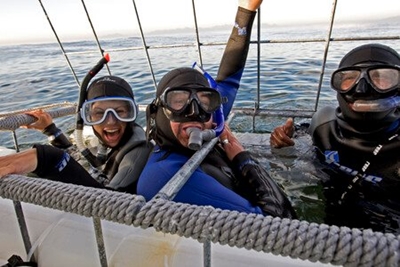 Differences between shark cage diving, surface and submersible cages 
