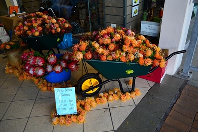 Tuine en Tossels en Garden World laat Mall lewe
