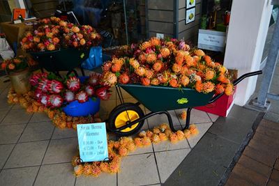 Tuine en Tossels en Garden World laat Mall lewe