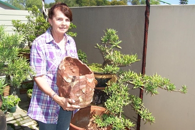 Update: Bonsai in Oudtshoorn