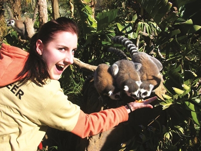 Global volunteers get to grips with conservation