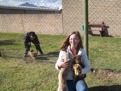 SPCA - untapped treasure