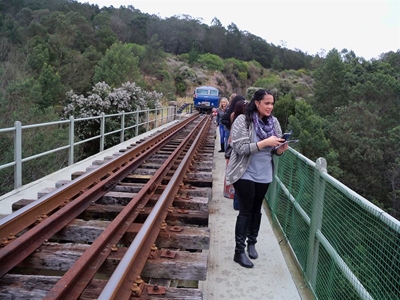 A fun trip and the wonders of Great Brak