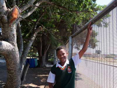 Boy falls from tree, injures hand badly