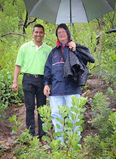 Transplant for Knysna's green heart