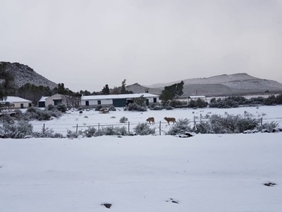 It’s snowing!