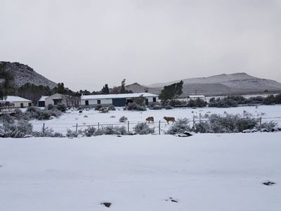 It’s snowing!