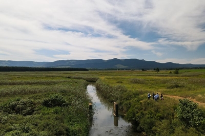 World Wetlands Day: The Role of Private Landowners in Conserving South Africa’s Wetlands