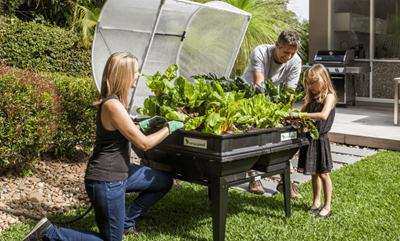 Keep healthy with these easy, green pickings