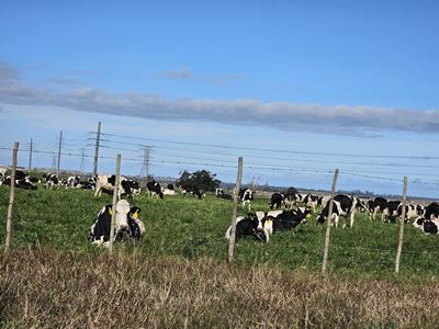 Streekgebaseerde bestuur vir bek-en-klouseer aangekondig